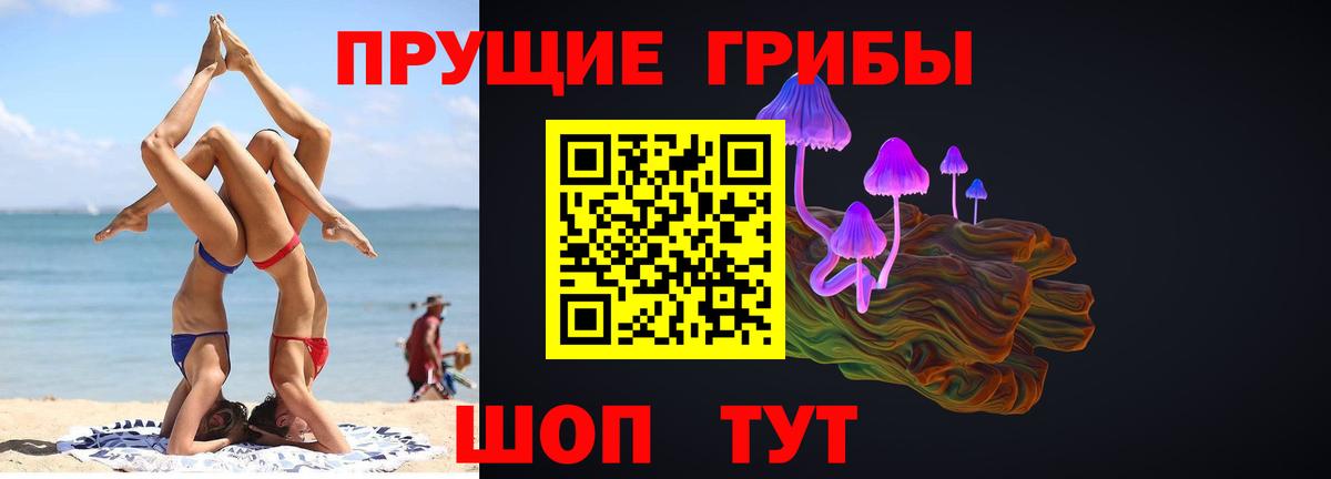 Дубна  Галлюциногенные грибы прущие грибы  Галлюциногенные грибы MAGIC MUSHROOMS  Вход с VPN 